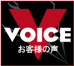 Voice